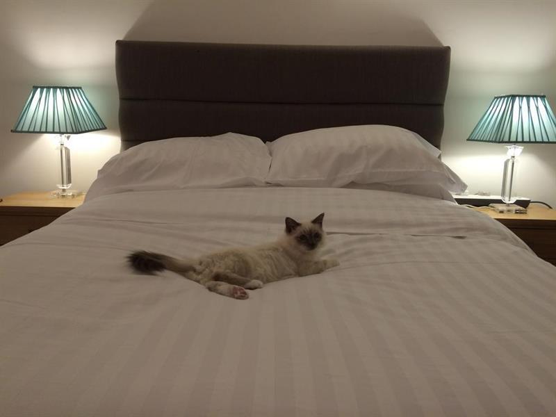 Oyo Oakcroft Guest House Manchester Airport Ringway المظهر الخارجي الصورة